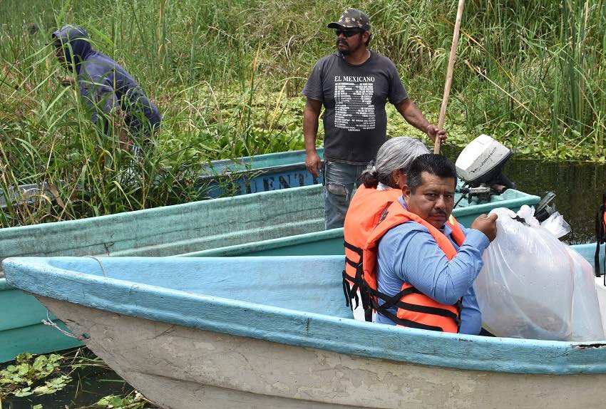 En próximos días se llevará a cabo la siembra de 200 mil crías de tilapia en Álvaro Obregón
